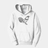 PC Youth Fan Favorite Hooded Sweatshirt Thumbnail