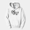 PC Youth Fan Favorite Hooded Sweatshirt Thumbnail