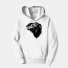 PC Youth Fan Favorite Hooded Sweatshirt Thumbnail