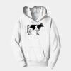 PC Youth Fan Favorite Hooded Sweatshirt Thumbnail