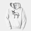 PC Youth Fan Favorite Hooded Sweatshirt Thumbnail