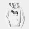 PC Youth Fan Favorite Hooded Sweatshirt Thumbnail