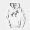 PC Youth Fan Favorite Hooded Sweatshirt Thumbnail