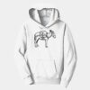 PC Youth Fan Favorite Hooded Sweatshirt Thumbnail