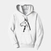 PC Youth Fan Favorite Hooded Sweatshirt Thumbnail