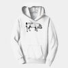 PC Youth Fan Favorite Hooded Sweatshirt Thumbnail