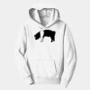 PC Youth Fan Favorite Hooded Sweatshirt Thumbnail