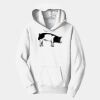 PC Youth Fan Favorite Hooded Sweatshirt Thumbnail