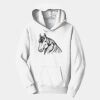 PC Youth Fan Favorite Hooded Sweatshirt Thumbnail