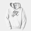 PC Youth Fan Favorite Hooded Sweatshirt Thumbnail