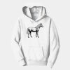 PC Youth Fan Favorite Hooded Sweatshirt Thumbnail