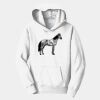 PC Youth Fan Favorite Hooded Sweatshirt Thumbnail