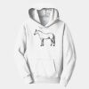 PC Youth Fan Favorite Hooded Sweatshirt Thumbnail