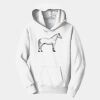 PC Youth Fan Favorite Hooded Sweatshirt Thumbnail