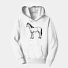PC Youth Fan Favorite Hooded Sweatshirt Thumbnail