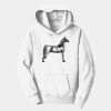 PC Youth Fan Favorite Hooded Sweatshirt Thumbnail