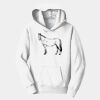 PC Youth Fan Favorite Hooded Sweatshirt Thumbnail