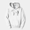 PC Youth Fan Favorite Hooded Sweatshirt Thumbnail