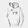 PC Youth Fan Favorite Hooded Sweatshirt Thumbnail