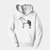PC Youth Fan Favorite Hooded Sweatshirt Thumbnail