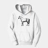 PC Youth Fan Favorite Hooded Sweatshirt Thumbnail