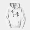 PC Youth Fan Favorite Hooded Sweatshirt Thumbnail