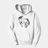 PC Youth Fan Favorite Hooded Sweatshirt Thumbnail