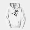 PC Youth Fan Favorite Hooded Sweatshirt Thumbnail