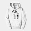 PC Youth Fan Favorite Hooded Sweatshirt Thumbnail