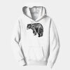PC Youth Fan Favorite Hooded Sweatshirt Thumbnail