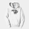 PC Youth Fan Favorite Hooded Sweatshirt Thumbnail