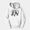 PC Youth Fan Favorite Hooded Sweatshirt Thumbnail