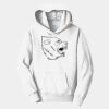 PC Youth Fan Favorite Hooded Sweatshirt Thumbnail