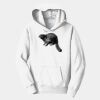 PC Youth Fan Favorite Hooded Sweatshirt Thumbnail