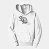PC Youth Fan Favorite Hooded Sweatshirt Thumbnail