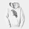 PC Youth Fan Favorite Hooded Sweatshirt Thumbnail