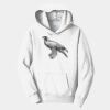 PC Youth Fan Favorite Hooded Sweatshirt Thumbnail