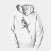 PC Youth Fan Favorite Hooded Sweatshirt Thumbnail