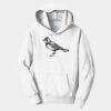 PC Youth Fan Favorite Hooded Sweatshirt Thumbnail