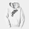 PC Youth Fan Favorite Hooded Sweatshirt Thumbnail