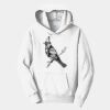 PC Youth Fan Favorite Hooded Sweatshirt Thumbnail