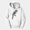 PC Youth Fan Favorite Hooded Sweatshirt Thumbnail