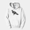 PC Youth Fan Favorite Hooded Sweatshirt Thumbnail