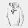 PC Youth Fan Favorite Hooded Sweatshirt Thumbnail