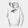 PC Youth Fan Favorite Hooded Sweatshirt Thumbnail