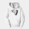 PC Youth Fan Favorite Hooded Sweatshirt Thumbnail