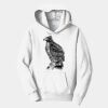 PC Youth Fan Favorite Hooded Sweatshirt Thumbnail