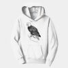 PC Youth Fan Favorite Hooded Sweatshirt Thumbnail
