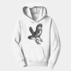 PC Youth Fan Favorite Hooded Sweatshirt Thumbnail