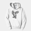 PC Youth Fan Favorite Hooded Sweatshirt Thumbnail